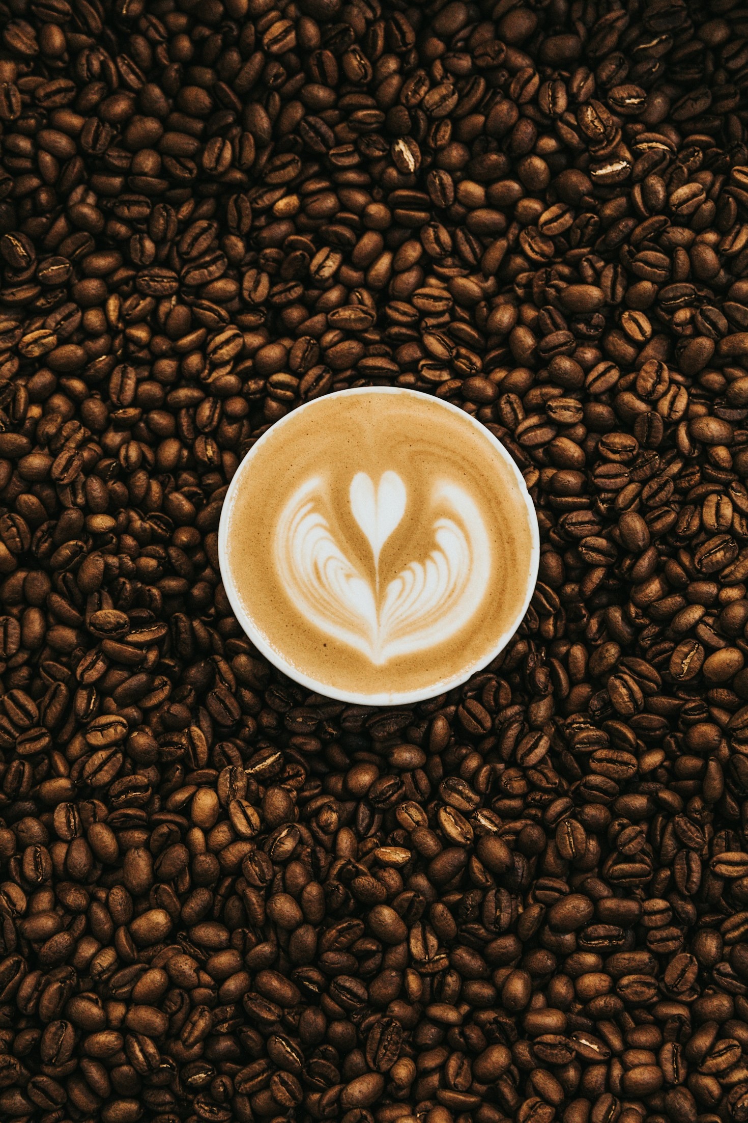 The Essential Guide To Pour Over Brewing