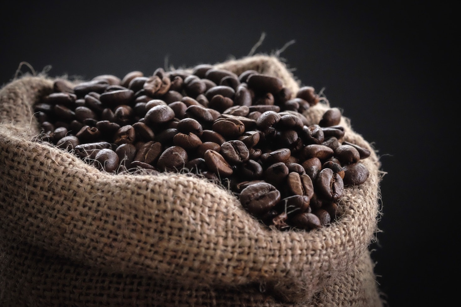 Savoring The Nuances Of Cold Brew Methods